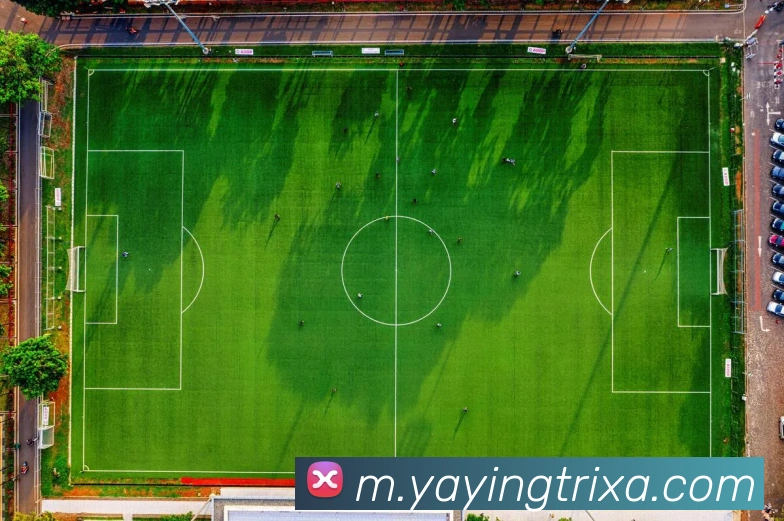 App Interface Preview